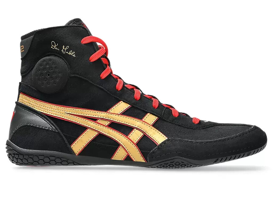 dan gable evo 3
